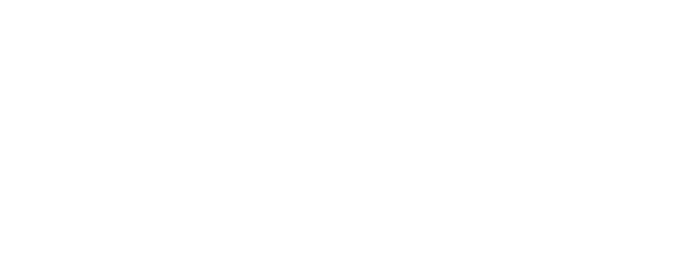 VOK DAMS
